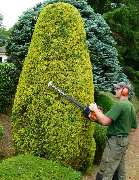 Baumpflege Oliver Schäfer - 4