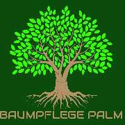 Baumpflege Palm - LOGO