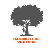 Baumpflege Winters - 1