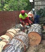 Baumpflegebetrieb Schulze - GALLERY