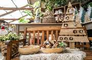 Baumschul-Pflanzen-Center Schmitz GmbH | Gartenbaumschule - GartenBaumschule Schmitz, Planzen-Center Zülpich, Dekoration Weihnachten