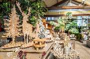 Baumschul-Pflanzen-Center Schmitz GmbH | Gartenbaumschule - GartenBaumschule Schmitz, Planzen-Center Zülpich, Dekoration Weihnachten