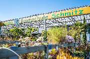 Baumschul-Pflanzen-Center Schmitz GmbH | Gartenbaumschule - GartenBaumschule Schmitz Zülpich