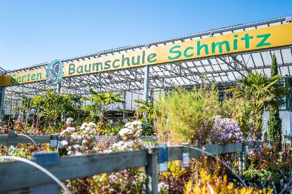 Baumschul-Pflanzen-Center Schmitz GmbH | Gartenbau …