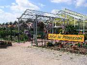 Baumschule Göricke - Baumschule Göricke