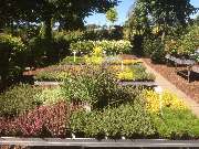 Baumschule Göricke - Heide