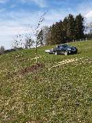 Baumschule Goßner - 23