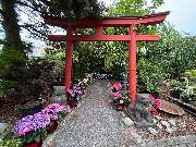 Baumschule Popp - GALLERY