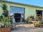 Baumschule Popp - GALLERY