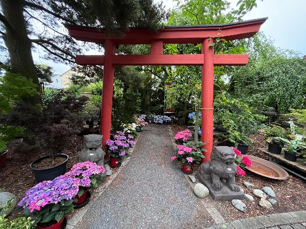 Baumschule Popp - GALLERY