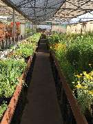 Baumschule Popp - GALLERY