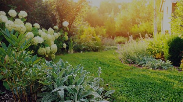 Baumschule Rosa Noichl Inh. Willi Sedlmayer - GALL …