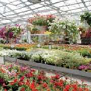 Baumschule Wassermann - GALLERY