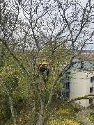 Baumsegen - IMG-20250109-WA0041.jpg