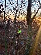 Baumsegen - IMG-20250109-WA0043.jpg