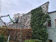 Baumsegen - IMG-20250812-WA0007.jpg