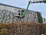 Baumsegen - IMG-20250812-WA0009.jpg