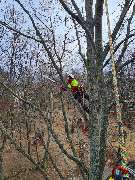 Baumsegen - IMG-20250812-WA0010.jpg