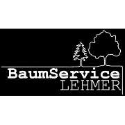 BaumService Lehmer - LOGO