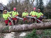 BAUMTEAM SCHALLWIG - GALLERY