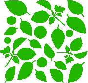 Logo - Morbach Baumpflege