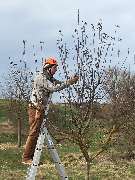 BAUMWART KRAMER - GALLERY