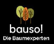 bauso! Baumpflege - 1