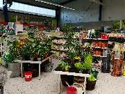 bauSpezi Bau + Heimwerkermarkt - GALLERY
