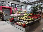 bauSpezi Bau- und Gartenmarkt - GALLERY