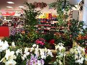 bauSpezi Baumarkt + Gartencenter - GALLERY