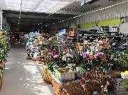 bauSpezi Baumarkt GMK - GALLERY