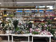 bauSpezi Baumarkt Müller - GALLERY