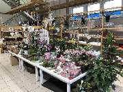 bauSpezi Baumarkt Müller - GALLERY