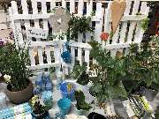 bauSpezi Baumarkt Müller - GALLERY