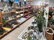 bauSpezi Baumarkt Müller - GALLERY