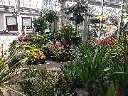 bauSpezi Schick - GALLERY