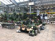 bauSpezi Schick - GALLERY