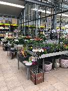 bauSpezi Schick - GALLERY