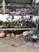 bauSpezi Schick - GALLERY