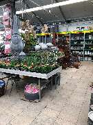 bauSpezi Schick - GALLERY