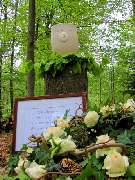 Bax Bestattungen - GALLERY