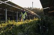 Bayernwerk Netz GmbH Kundencenter Unterschleißheim - Ein Bayernwerk-Techniker läuft im Sonnenschein durch eine Photovoltaik-Freiflächenanlage