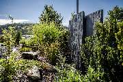 BB Gartengestaltung GmbH Inh. Bernhard Bencivenga - 11