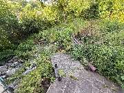 BB Kertolli - GALLERY