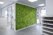 bb office - moos.jpg