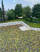 BDS Bedachungssysteme GmbH - GALLERY