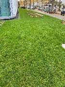 BE Gartenbau München - GALLERY