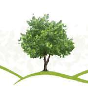 BE Gartenbau München - LOGO