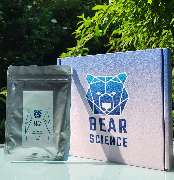Bear-Science - GALLERY