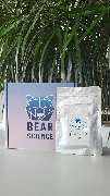 Bear-Science - GALLERY